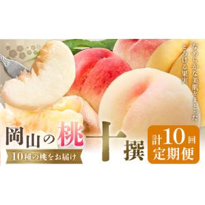 ふるさと納税 【10回定期便】岡山の桃 十撰 10種 計10kg【配送不可地域あり】桃 岡山県笠岡市