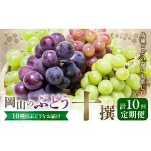 ふるさと納税 【2026年発送先行予約】ぶどう 4ヶ月 計10回 定期便 岡山 の ぶどう 十撰 10種 各700g 計7kg 晴れの国おかやま館(漂流岡山)《2026.. 岡山県笠岡市