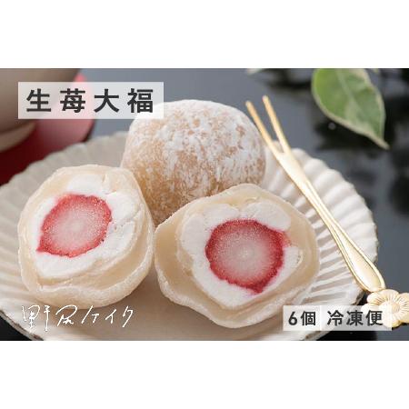 ふるさと納税 野尻ケイクの生苺大福 福井県鯖江市