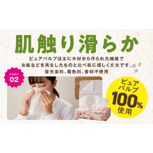 ふるさと納税 ソフトパックティッシュ 60パッ...の詳細画像2