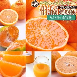 ふるさと納税 【定期便】厳選 柑橘定期便 M 12回（毎月）※北海道・沖縄・離島への配送不可※毎月発送 和歌山県美浜町