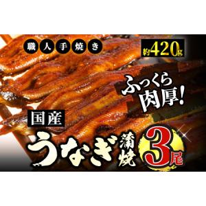 ふるさと納税 うなぎ蒲焼専門店「柳屋」国産うなぎ蒲焼 (約140g×3尾) C-357 佐賀県上峰町