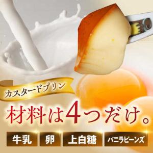 ふるさと納税 【全12回定期便】昔ながらのカス...の詳細画像3