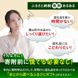 ふるさと納税 【あとから選べる】葉山町ふるさと...の詳細画像1