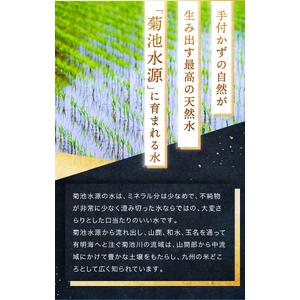 ふるさと納税 【定期便12回】令和7年産 熊本...の詳細画像3