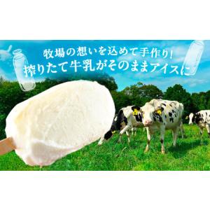 ふるさと納税 ＼TVで話題/12回定期便 北海...の詳細画像1
