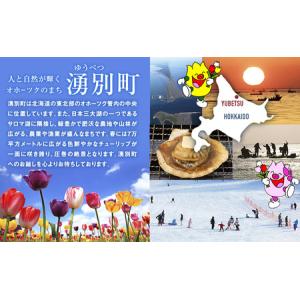 ふるさと納税 ほたて 貝柱 オホーツク産 生食...の詳細画像3