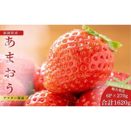 ふるさと納税 【先行予約】福岡県産あまおう 270g×6パック ※2026年4月上旬順次配送 [TY...