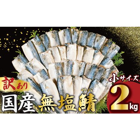 ふるさと納税 訳あり 国産 無塩さば 約2kg 小サイズ サバ 千葉県銚子市