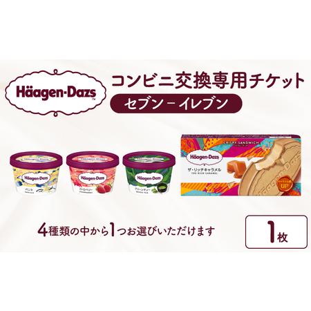 ふるさと納税 ハーゲンダッツ アイスクリーム『コンビニ交換専用チケット　1個交換（セブン-イレブン）...