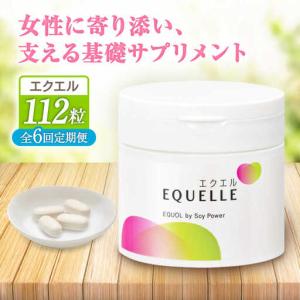 ふるさと納税 6回定期便 サプリメント エクエル 28日分 サプリ 大塚製薬[FDT003] 佐賀県吉野ヶ里町