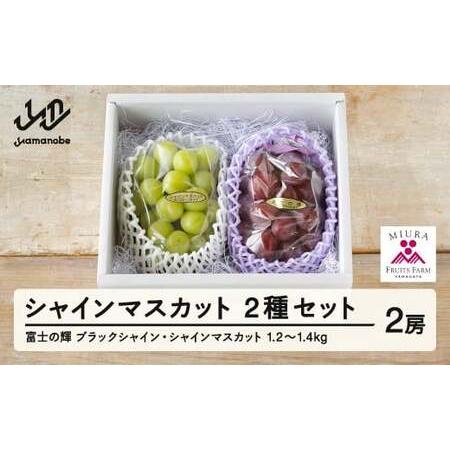 ふるさと納税 【先行予約】ぶどう 富士の輝 約650g シャインマスカット 約600g セット 令和...