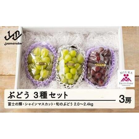 ふるさと納税 【先行予約】ぶどう 富士の輝 シャインマスカット 他1種 3種セット 令和8年産 20...