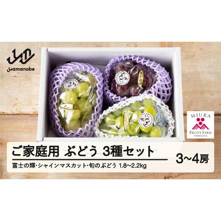 ふるさと納税 【先行予約】ぶどう 富士の輝 シャインマスカット 他1種 3種セット ご家庭用 令和8...