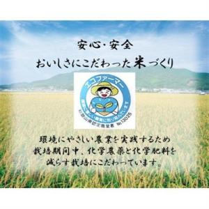 ふるさと納税 ★令和8年産 新米★ にじのきら...の詳細画像1