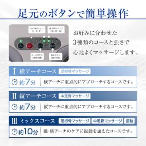 ふるさと納税 【ファイテン】健光浴ソラーチ(フ...の詳細画像4