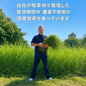ふるさと納税 【定期便6回】国産グラスフェッド...の詳細画像2