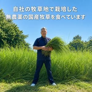 ふるさと納税 【定期便6回】国産グラスフェッド...の詳細画像2