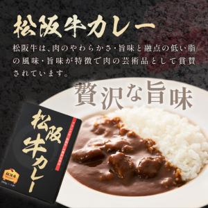 ふるさと納税 松阪牛カレー200g×30個セッ...の詳細画像1