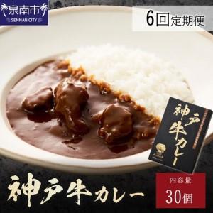 ふるさと納税 神戸牛カレー200g×30個セット 6ヶ月定期便【108A-007】 大阪府泉南市