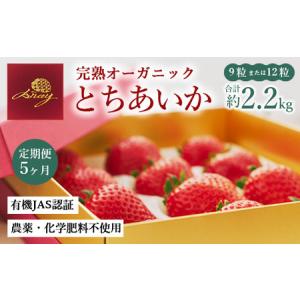 ふるさと納税 【定期便5ヶ月】完熟オーガニックとちあいか 9粒または12粒 ※2026年12月〜発送 栃木県鹿沼市