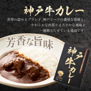 ふるさと納税 神戸牛カレー200g×30個セッ...の詳細画像1