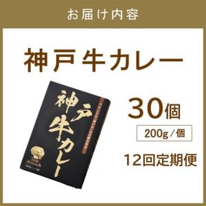 ふるさと納税 神戸牛カレー200g×30個セッ...の詳細画像3