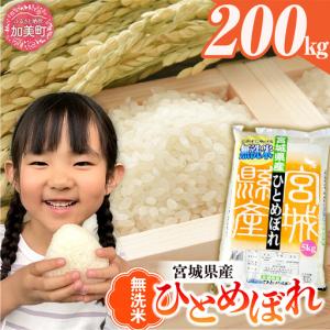 ふるさと納税 【新米予約】 令和8年産 無洗米 ...の商品画像