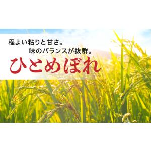 ふるさと納税 【新米予約】 令和8年産 無洗米...の詳細画像1