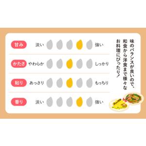 ふるさと納税 【新米予約】 令和8年産 無洗米...の詳細画像3