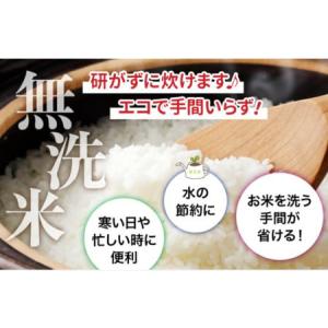 ふるさと納税 【新米予約】 令和8年産 無洗米...の詳細画像4