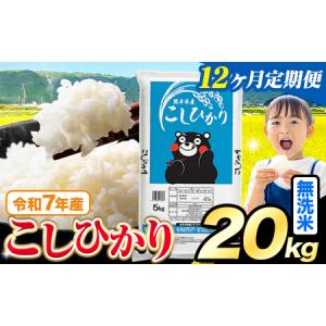 ふるさと納税 【12ヶ月定期便】令和7年産 無洗米 こしひかり 20kg 《お申込み翌月から出荷》 熊本県苓北町
