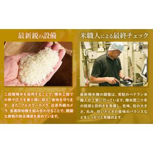ふるさと納税 【12ヶ月定期便】無洗米 こしひ...の詳細画像2