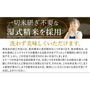 ふるさと納税 【12ヶ月定期便】無洗米 こしひ...の詳細画像3