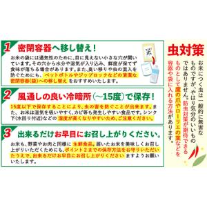 ふるさと納税 【12ヶ月定期便】無洗米 こしひ...の詳細画像4