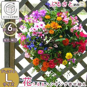 ふるさと納税 A059 花 定期便 花うるる ハンギング 寄せ植え プレミアムコース全6回 (サブスク ハンギングバスケット 屋外 春 夏 秋 冬 母の日 .. 山口県山口市