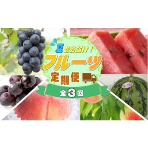 ふるさと納税 定期便【全3回/6・7・8月】夏を...の商品画像