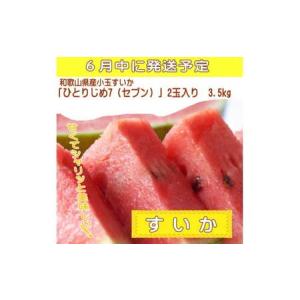 ふるさと納税 定期便【全3回/6・7・8月】夏...の詳細画像1