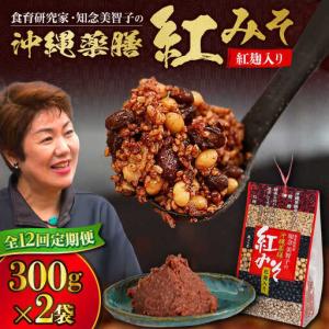 ふるさと納税 薬膳みそ 【全12回定期便】沖縄薬膳紅みそ 計600g (300g×2個) BCBU016 味噌 沖縄県沖縄市