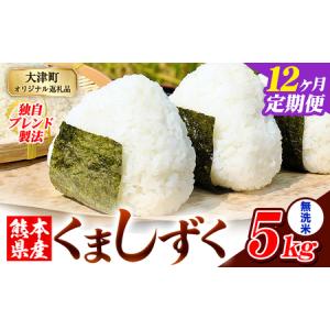 ふるさと納税 【12ヶ月定期便】無洗米 熊本県産 ブレンド米 くましずく 5kg 熊本県産 ふるさと納税 無洗米 米 こめ ふるさとのうぜい コメ お米 .. 熊本県大津町