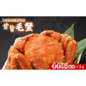 ふるさと納税 【北海道雄武町産】甘旨毛蟹 440g前後×1尾【07185】 北海道雄武町