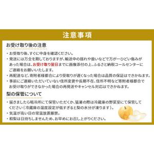 ふるさと納税 【2026年発送分先行予約】(訳...の詳細画像2
