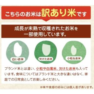 ふるさと納税 令和7年産 熊本県産 応援米 白...の詳細画像1