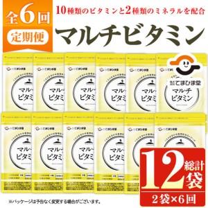 ふるさと納税 No.1279-B ＜定期便・全6回(隔月)＞マルチビタミン(2袋×6回・計12袋) 鹿児島 日置市 健康食品 サプリ 栄養バランス 食生活 .. 鹿児島県日置市