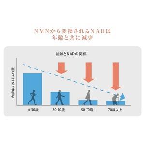 ふるさと納税 0090-105-01 NMN ...の詳細画像3