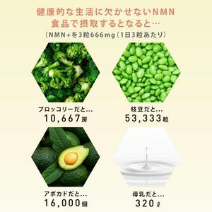 ふるさと納税 0090-105-01 NMN ...の詳細画像4