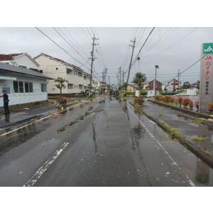 ふるさと納税 【台風15号災害支援】静岡県 牧...の詳細画像2