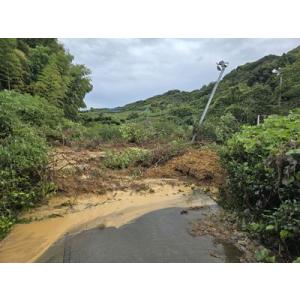 ふるさと納税 【台風15号災害支援】静岡県 牧...の詳細画像3