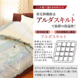 ふるさと納税 羽毛移動防止特殊構造 羽毛増量タ...の詳細画像3