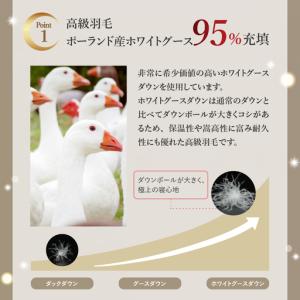 ふるさと納税 羽毛移動防止特殊構造 羽毛増量 ...の詳細画像2